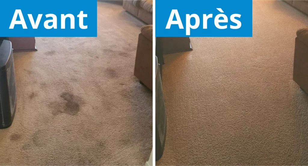 Photos moquette avant et après nettoyage